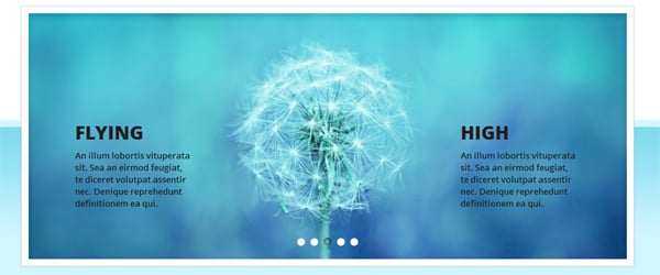 25 Free and Premium jQuery Image Slider Plugins