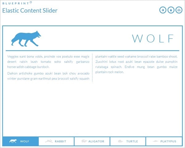 Elastic Content Slider