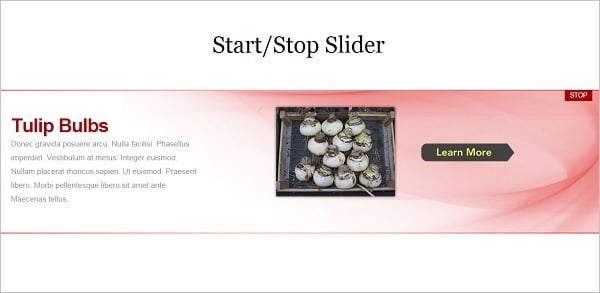 StartStop Slider