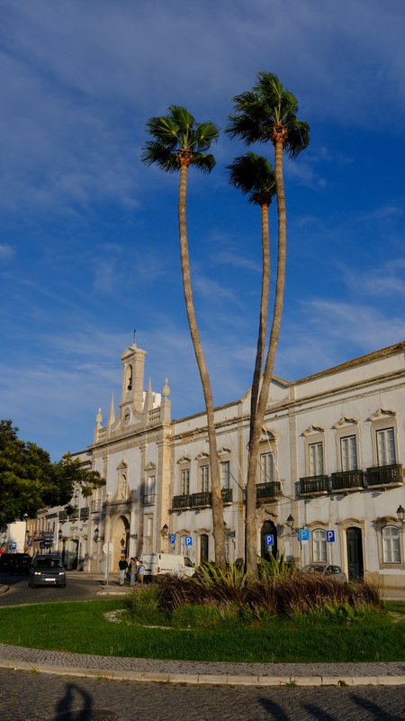 Two palms, one white facade