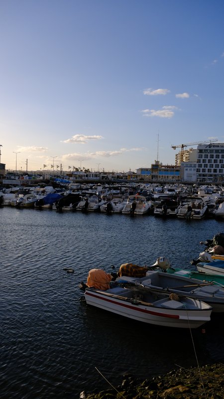 Boats at their moorings