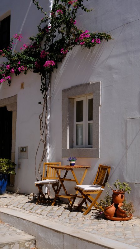 Bougainvillea and two chairs