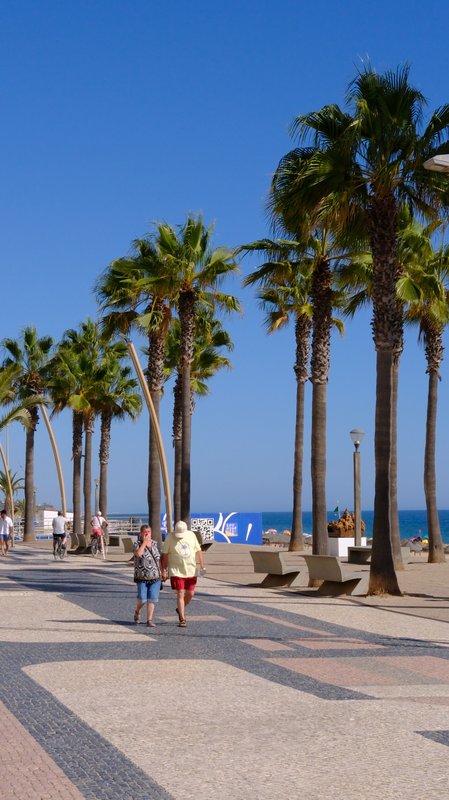 The palm boulevard
