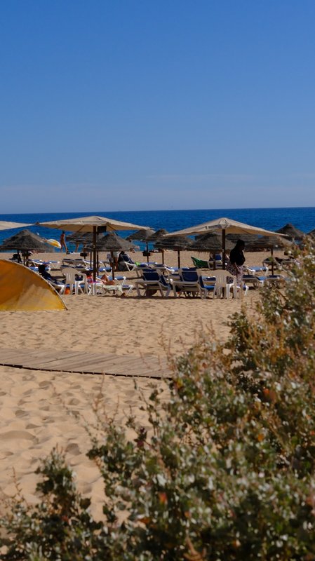 The beach through the green