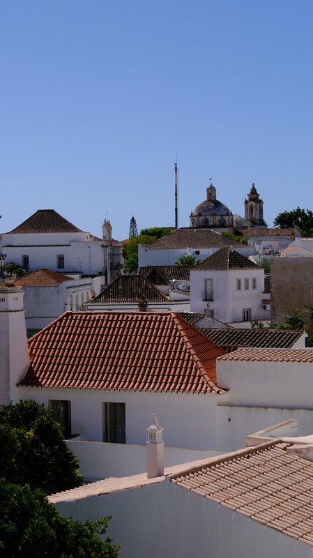 Rooftops from the tower