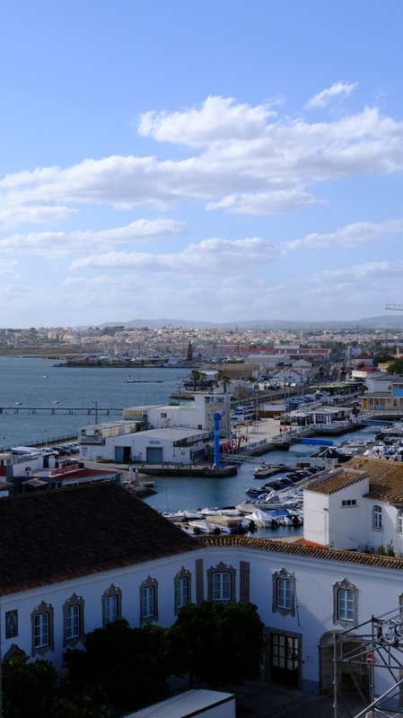 The marina, from above