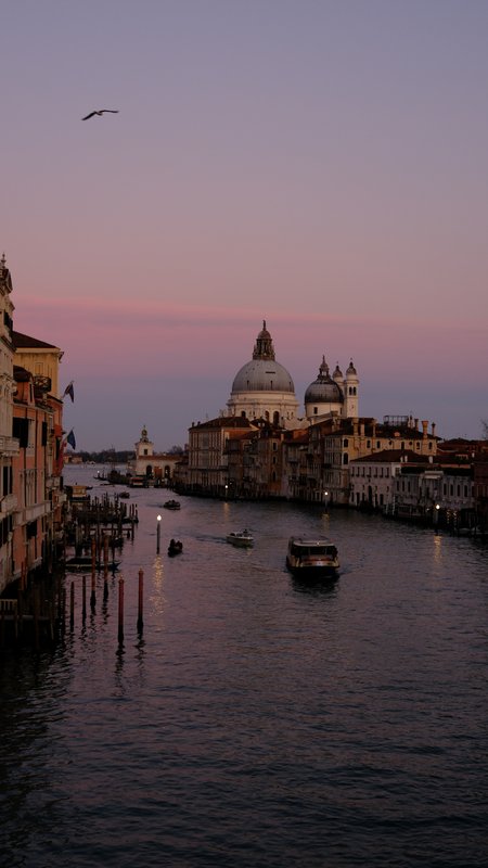 Venice video